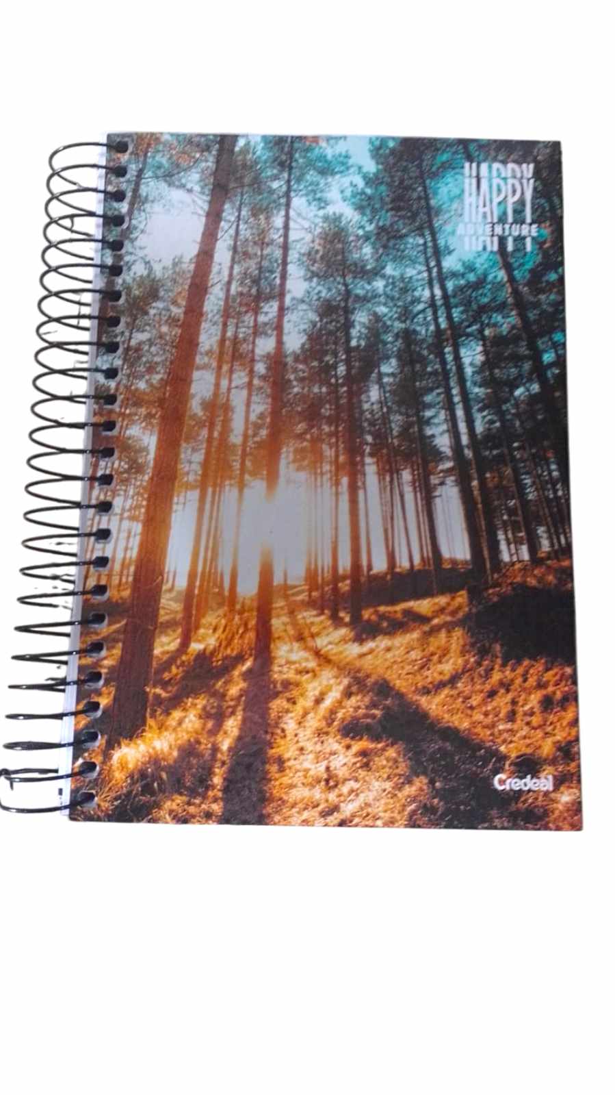 CADERNO ESPIRAL C.D.  1/4 HAPPY 200FLS